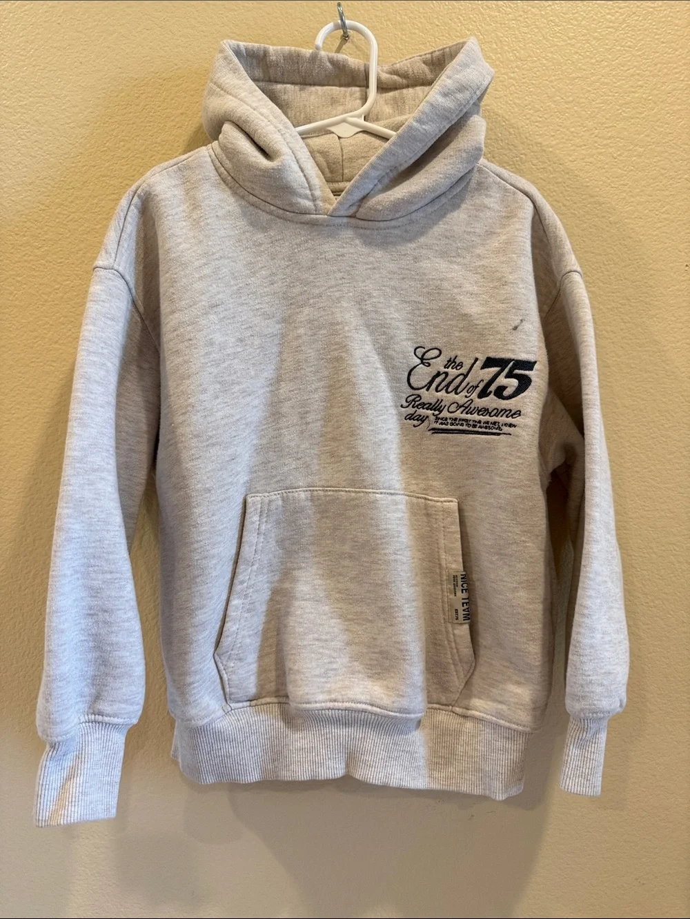 Zara Light Gray Kids Hoodie with Chest Graphic
